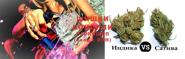 стафф Зеленокумск