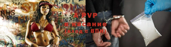 спиды Зерноград