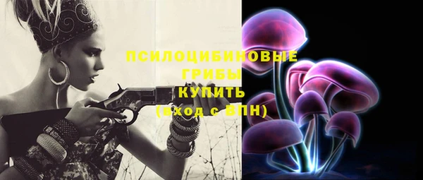 стафф Зеленокумск