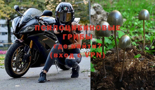 стафф Зеленокумск