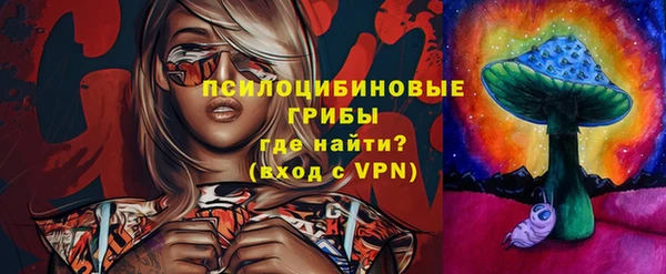 спиды Зерноград