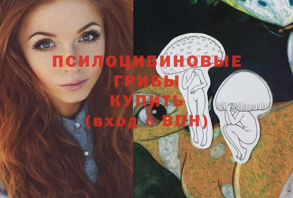 спиды Зерноград