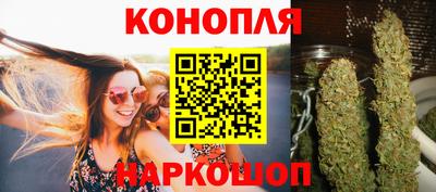 сатива Бийск