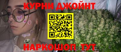 сатива Бийск